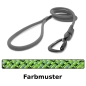 Preview: klassische Hundeleine TWIST - L - 175cm - kiwi